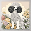 Search for poodles posters White poodle