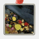 Search for cleaning christmas tree decorations Red