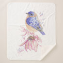 Search for bluebird blankets Nature