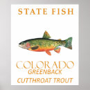 Search for fishing trip posters Angler