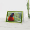 Search for lorikeets cards Parrots