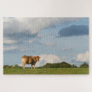 Search for beef puzzles Bull