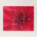 Search for dahlia puzzles Challenge
