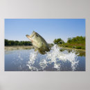 Search for outdoorsman art Angler