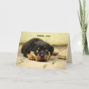Search for cancer encouragement cards For cancer patients