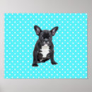 Search for cute bulldog posters Dog lovers