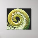 Search for electron micrography posters Black background