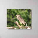 Search for heron canvas prints Water