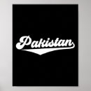 Search for cricket fan posters Stump