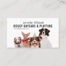 Search for doggy daycare Small business