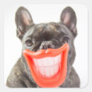 Search for smiling dog stickers Cute