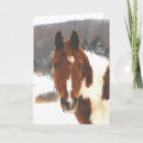 Search for winter horse cards Beautiful