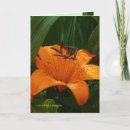 Search for tiger lily cards Summer