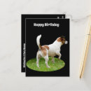 Search for jack russell birthday cards Terrier