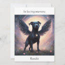 Search for rainbow bridge cards Memorial