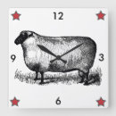 Search for primitive clocks Red