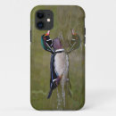 Search for swimming duck iphone cases Animal