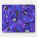 Search for delphinium flower electronics Garden
