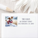 Search for jack russell return address labels Watercolor