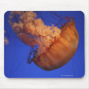 Search for translucent mousepads Sealife