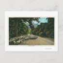 Search for shepherd postcards States