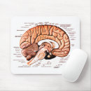 Search for human anatomy mousepads Brain