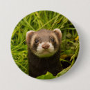 Search for ferret badges Funny