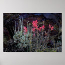 Search for wildflower posters Pink