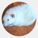 Search for fancy rat stickers Cute
