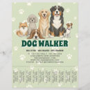 Search for promote dog walking flyers Dogs