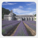 Search for provence stickers Lavender