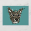 Search for puppy drawing postcards Groomer grooming