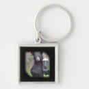 Search for big bears key rings Nature