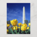 Search for washington monument postcards Landmark