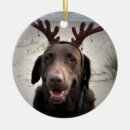 Search for antlers christmas tree decorations Season