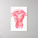 Search for female anatomy canvas prints Ovary