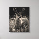 Search for buck canvas prints Animals