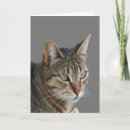 Search for vector cards Artistic