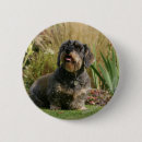 Search for wire badges Dog