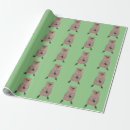 Search for cartoons wrapping paper For kids