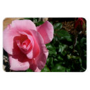 Search for budding magnets Flower