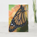 Search for monarch cards Black
