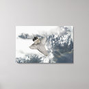 Search for spaceship canvas prints Clouds