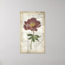 Search for floral canvas prints Blooms