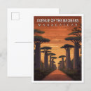 Search for madagascar postcards Nature