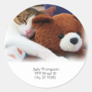 Search for sleeping bear stickers Cute