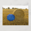 Search for landschaft postcards Postkarte