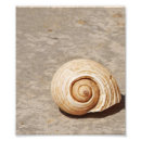 Search for marine biology posters Beach