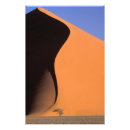 Search for arid art Environment
