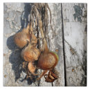 Search for bunch tiles Food